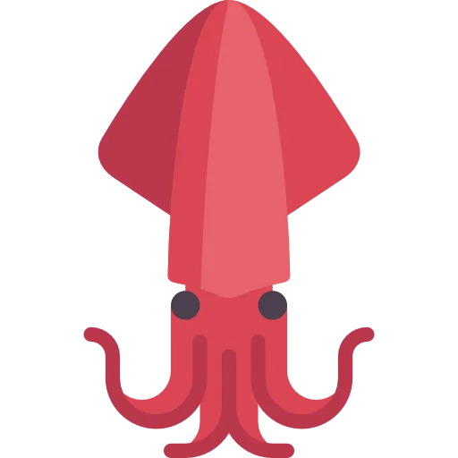 Кальмар х/к